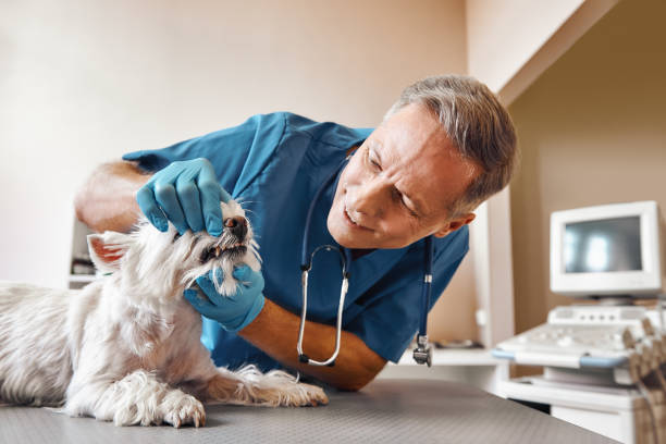 Best Emergency Broken Tooth Repair in Adairsville, GA